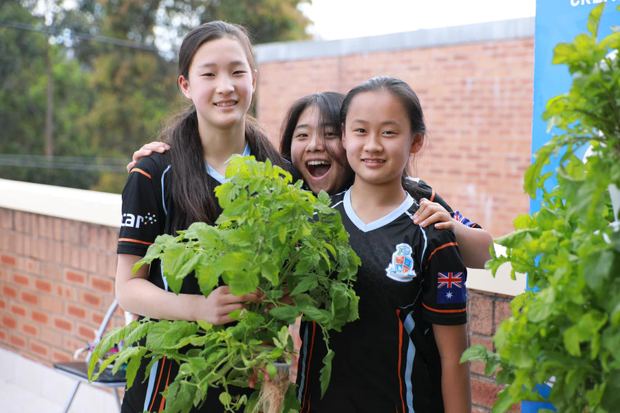 CA Phoenix Tech Tops Regional Tournament